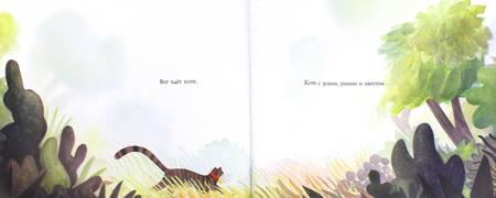 Фотография книги "Брендан Венцель: Все видели кота"