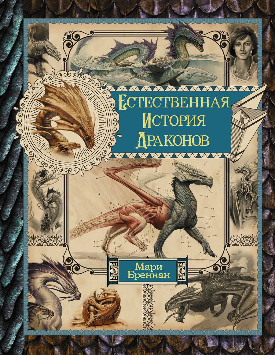 Обложка книги "Бреннан: Естественная история драконов. Омнибус"