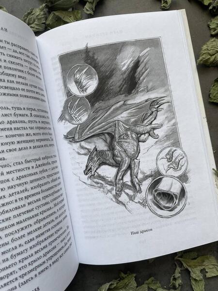 Фотография книги "Бреннан: Естественная история драконов"