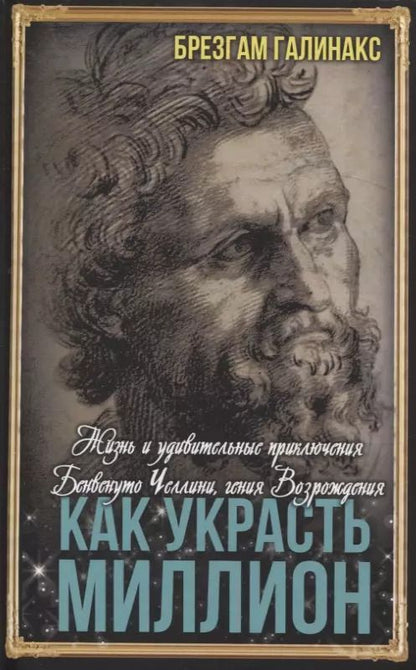 Обложка книги "Брезгам Галинакс: Как украсть миллион. Жизнь и удивительные приключения"