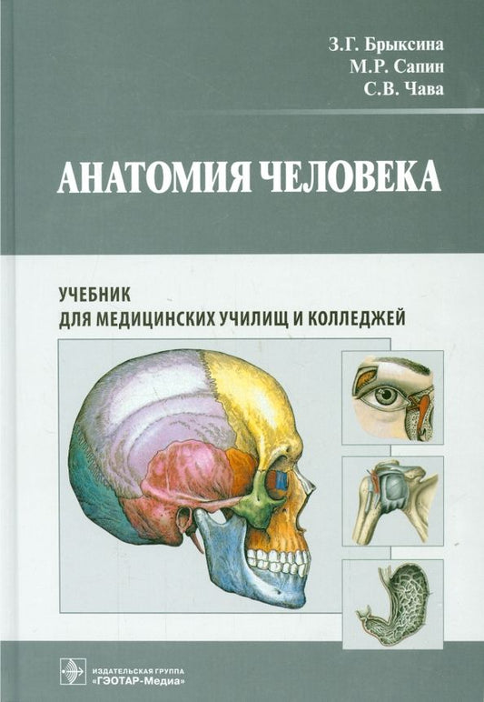 Обложка книги "Брыксина, Сапин, Чава: Анатомия человека. Учебник для педагогических вузов"