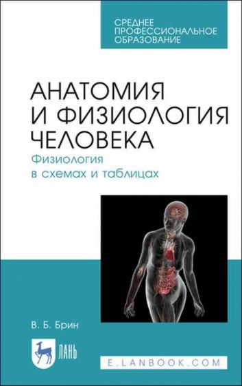 Обложка книги "Брин: Анатомия и физиология человека в схемах и таблицах. Учебное пособие"