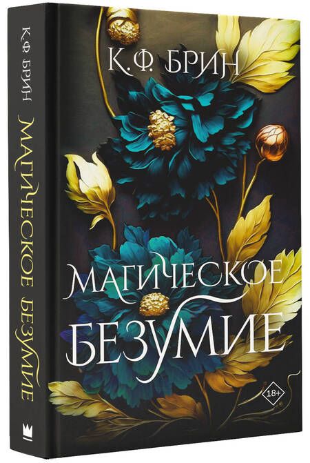 Фотография книги "Брин: Магическое безумие"