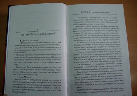 Фотография книги "Брин: Погружение в Солнце"