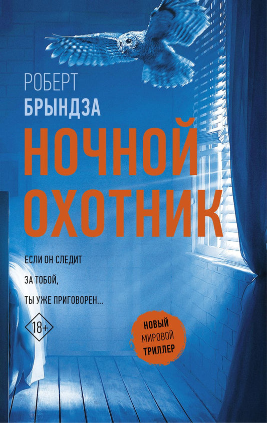 Обложка книги "Брындза: Ночной Охотник"