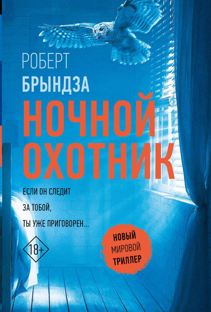 Обложка книги "Брындза: Ночной Охотник"