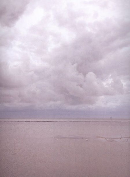 Фотография книги "Бринк: Дзинсин. Японская практика целительства при помощи пальцев"