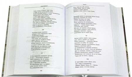 Фотография книги "Бродский: Власть стихий. Стихотворения, эссе"