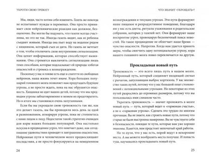 Фотография книги "Бройнинг: Укроти свою тревогу. Перепрограммируй мозг для счастья"