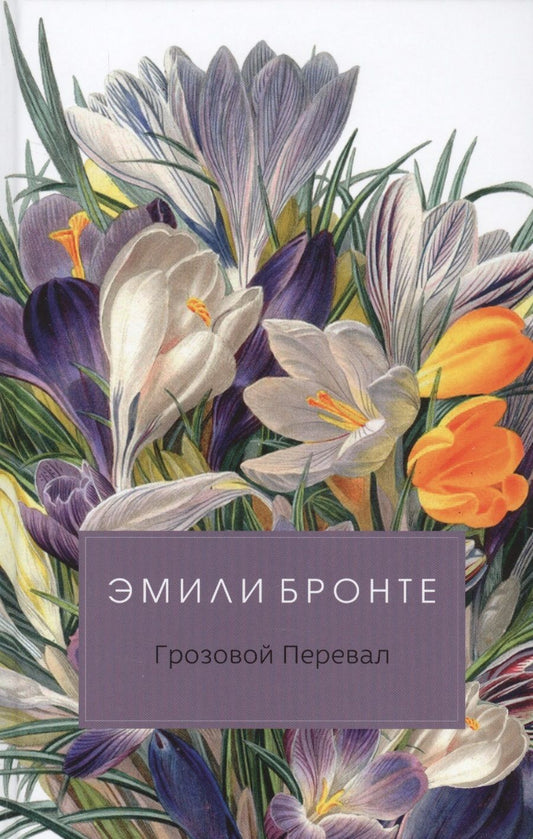Обложка книги "Бронте: Грозовой Перевал"