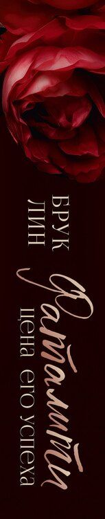 Фотография книги "Брук Лин: Фаталити. Цена его успеха"