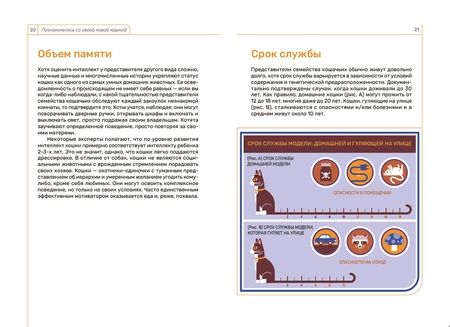 Фотография книги "Бруннер, Столл: Кошка. Руководство пользователя. Инструкция по эксплуатации, рекомендации"