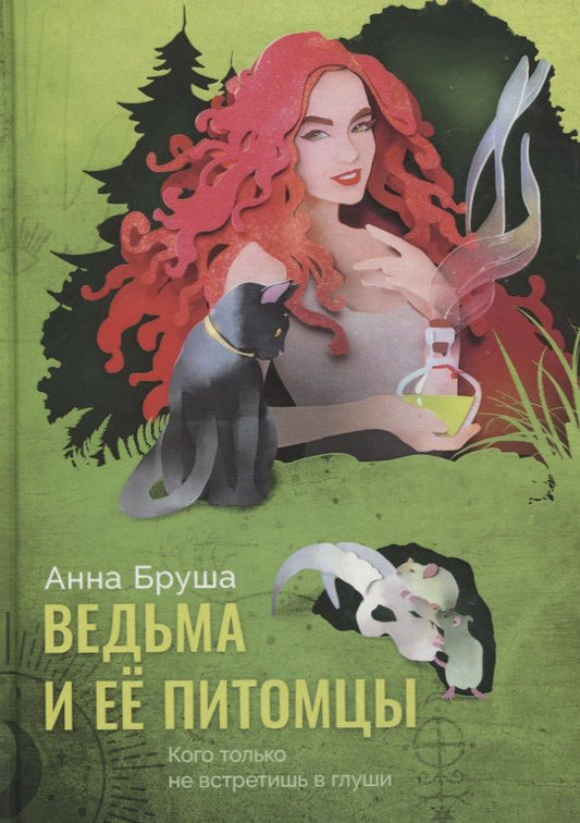 Обложка книги "Бруша: Ведьма и ее питомцы"