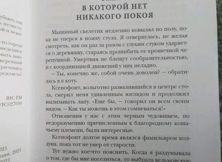 Фотография книги "Бруша: Ведьма и ее питомцы"