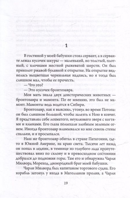 Фотография книги "Брюс Чатвин: В Патагонии"