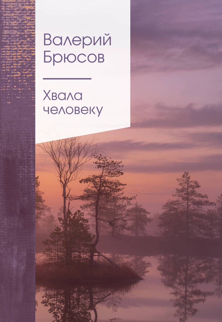 Обложка книги "Брюсов: Хвала человеку"