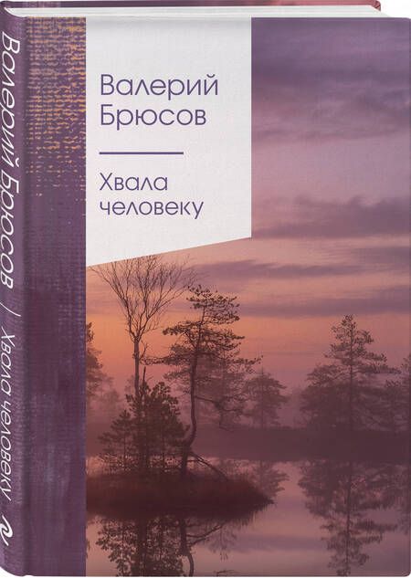 Фотография книги "Брюсов: Хвала человеку"