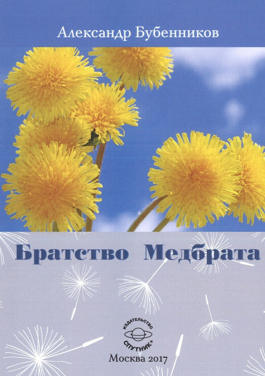 Обложка книги "Бубенников: Братство Медбрата"