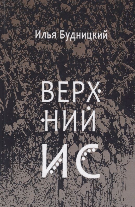 Обложка книги "Будницкий: Верхний Ис"