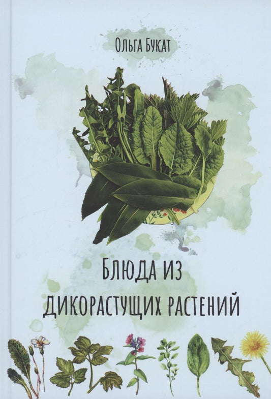 Обложка книги "Букат: Блюда из дикорастущих растений"