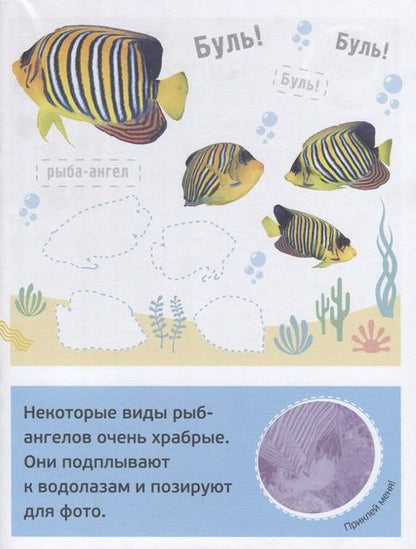 Фотография книги "Буль! Море-океан"