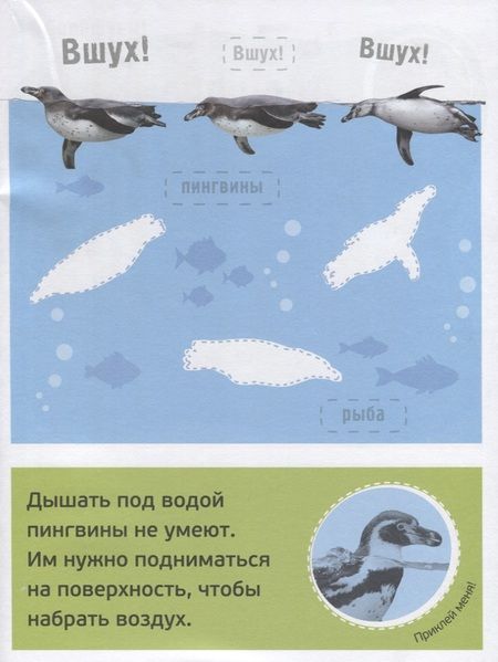 Фотография книги "Буль! Море-океан"