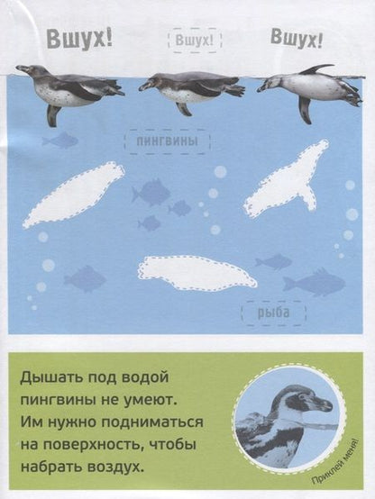 Фотография книги "Буль! Море-океан"