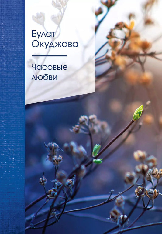 Обложка книги "Булат Шалвович: Часовые любви"