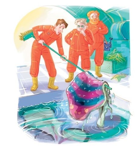 Фотография книги "Булычев: Путешествие Алисы"