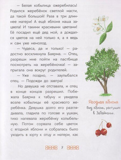 Фотография книги "Бурятские сказки. Чудо-жеребёнок"