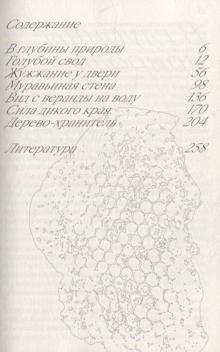 Фотография книги "Бёртон: Шесть граней жизни. Повесть о чутком доме и о природе, полной множества языков"