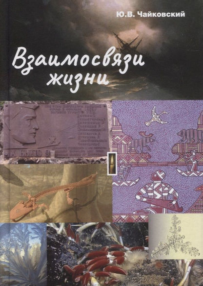 Обложка книги "Чайковский: Взаимосвязи жизни. Миниэнциклопедия дополняет. Том 1"