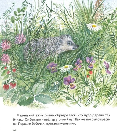 Фотография книги "Чарушина-Капустина: Самый маленький ежик"