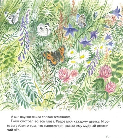 Фотография книги "Чарушина-Капустина: Самый маленький ежик"