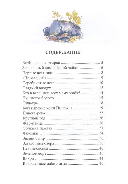 Фотография книги "Чарушина-Капустина: Зеркальный дом озерной чайки"