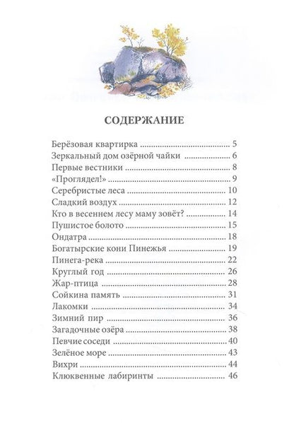 Фотография книги "Чарушина-Капустина: Зеркальный дом озерной чайки"