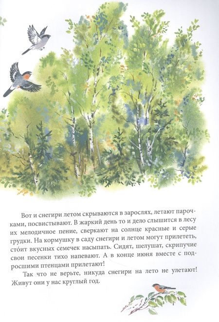 Фотография книги "Чарушина-Капустина: Зеркальный дом озерной чайки"