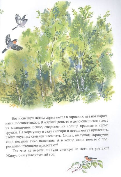 Фотография книги "Чарушина-Капустина: Зеркальный дом озерной чайки"