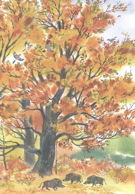 Фотография книги "Чарушина-Капустина: Зеркальный дом озерной чайки"