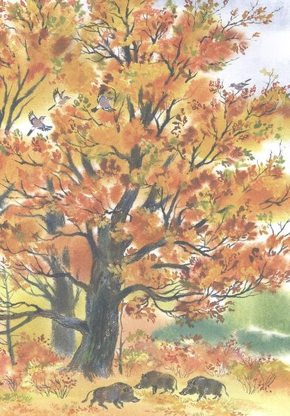 Фотография книги "Чарушина-Капустина: Зеркальный дом озерной чайки"