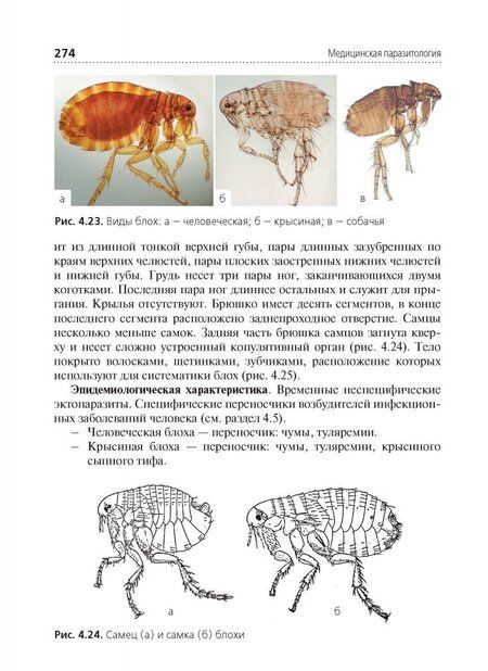 Фотография книги "Чебышев, Козарь, Беречикидзе: Медицинская паразитология. Учебник"