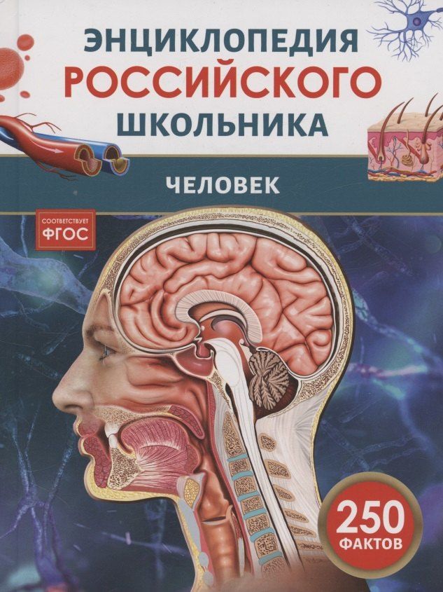 Обложка книги "Человек. 250 фактов. Энциклопедия российского школьника"