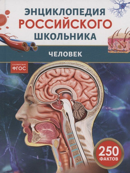 Обложка книги "Человек. 250 фактов. Энциклопедия российского школьника"