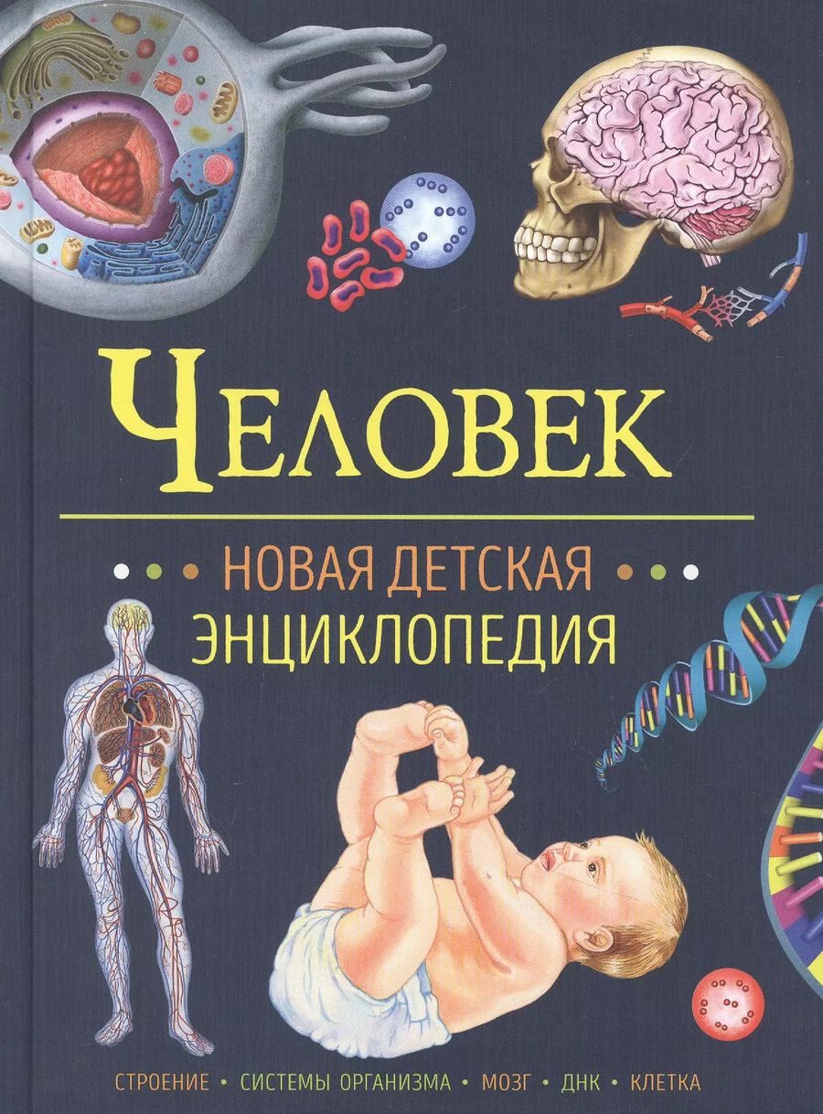 Обложка книги "Человек. Новая детская энциклопедия"