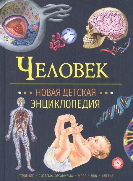 Фотография книги "Человек. Новая детская энциклопедия"