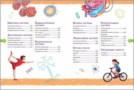 Фотография книги "Человек. Новая детская энциклопедия"