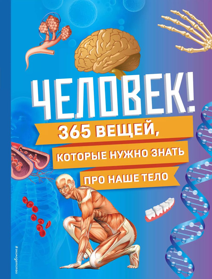 Обложка книги "Человек! 365 вещей, которые нужно знать про наше тело"