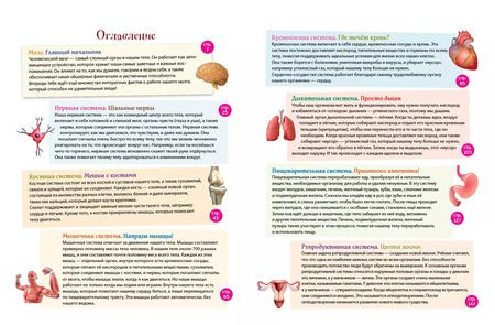 Фотография книги "Человек! 365 вещей, которые нужно знать про наше тело"