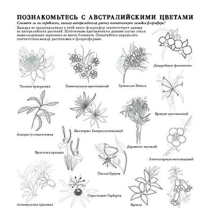 Фотография книги "Чералин Дарси: Флоросфера. Вдохновение"