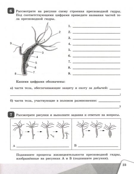 Фотография книги "Чередниченко, Сивоглазов: Биология. 7 класс. Рабочая тетрадь. ФГОС"
